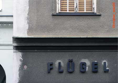fluegel_P0206