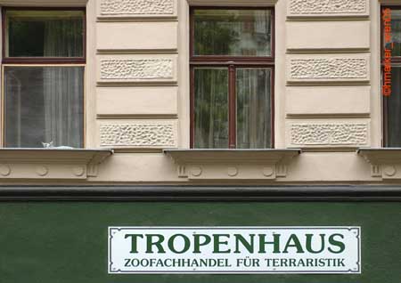 tropenhaus_2002