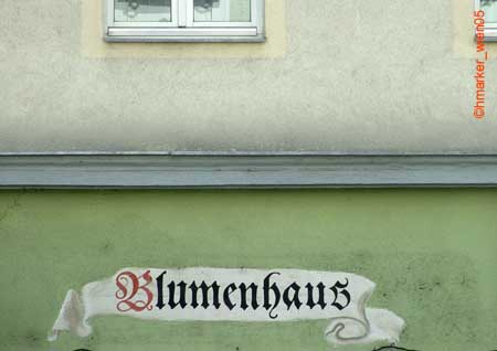 blumenhaus_2449